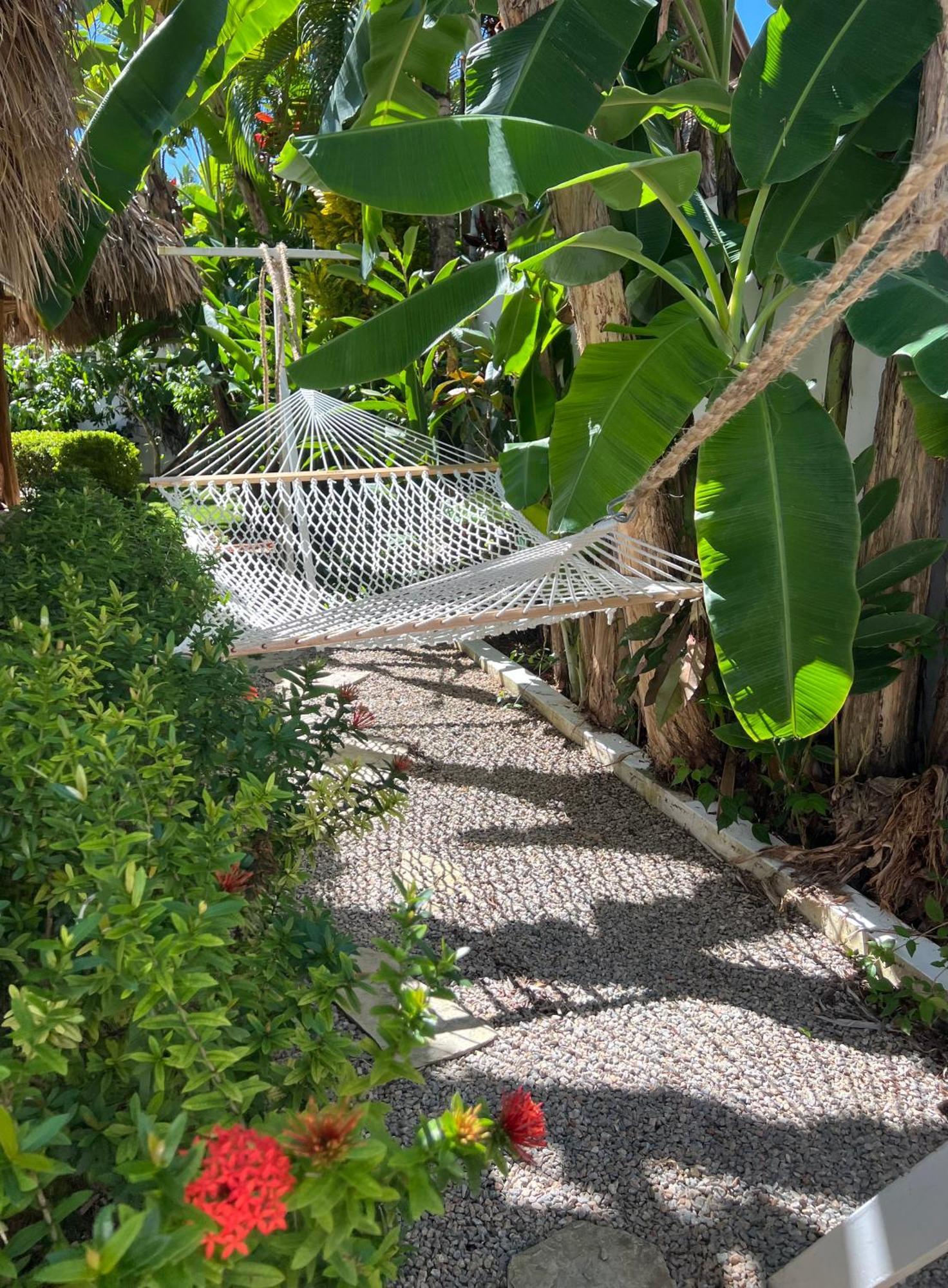 Villa Clarissa No. 8 Las Terrenas Exterior photo